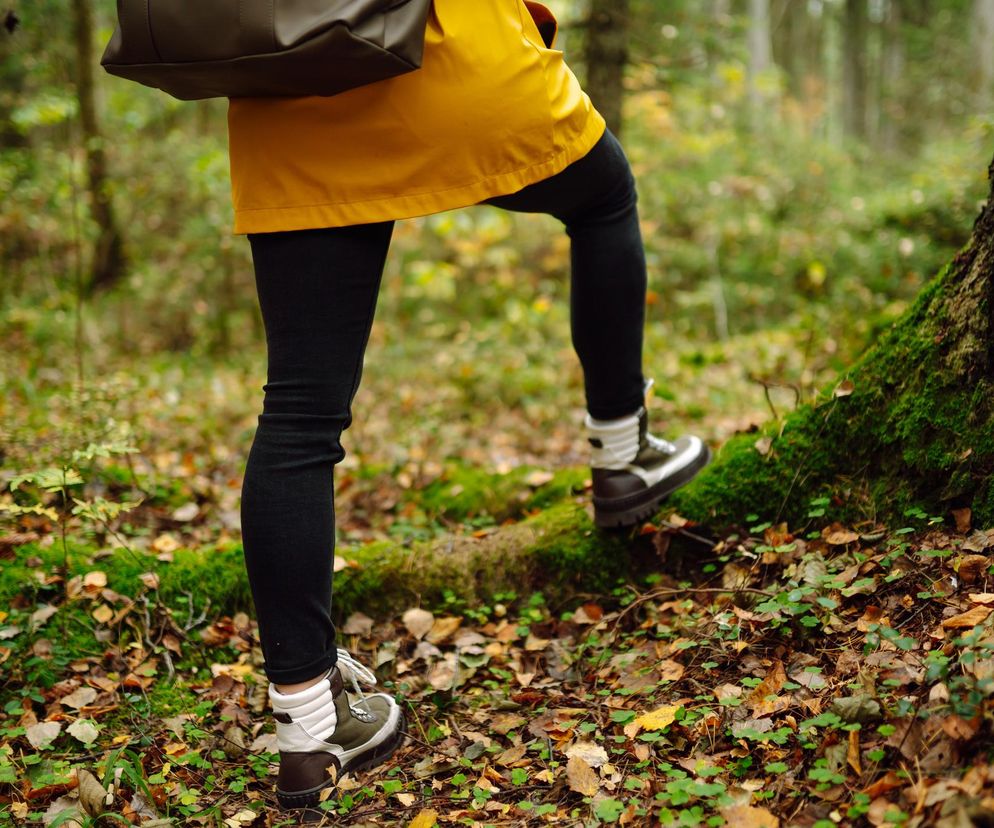 Osoba w żółtej kurtce i czarnych spodniach spaceruje po lesie, stąpając po omszałym pniu i opadłych liściach. Ten cichy spacer redukuje stres i obniża kortyzol, a więcej na ten temat przeczytasz na Poradnik Zdrowie.
