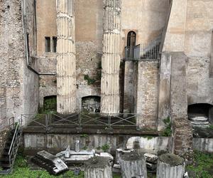 Largo Argentina w Rzymie. Koty zamieszkały w starożytnych ruinach - zobacz zdjęcia