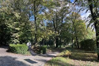 Park Kopernika w Gorzowie w jesiennej scenerii