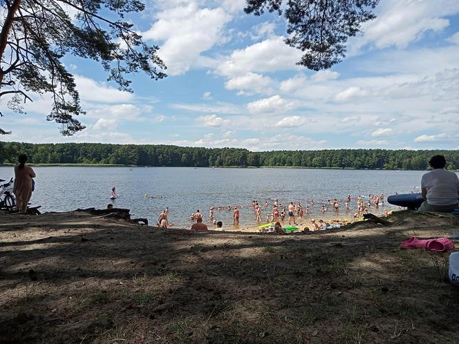 Świętokrzyska Madera w Cedzynie oblegana w czasie wakacji