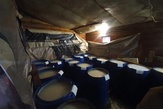 Bimbrownia w Wasilkowie