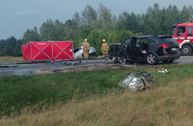 : Mama zginęła w wypadku, dziecko z urazem głowy trafiło do szpitala. Tragiczny finał brawurowej jazdy na trasie do Warszawy