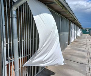 Sposób na upały w schronisku dla zwierząt w Henrykowie koło Leszna. Psy przed słońcem będą osłaniać rolety [ZDJĘCIA]