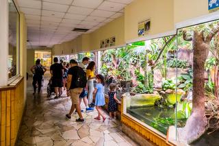 Miejski Ogród Zoologiczny w Warszawie