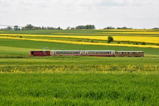 Ciuchcia Ponidzie atrakcją dla turystów w Świętokrzyskiem