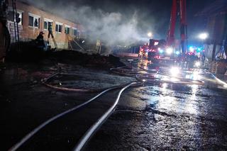 Pożar chlewni pod Piotrkowem Trybunalskim. Ponad 2 tysiące zwierząt zginęło