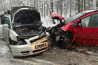 Czołowe zderzenie na DW 214 w Pałubicach. W wypadku poszkodowanych zostało pięć osób