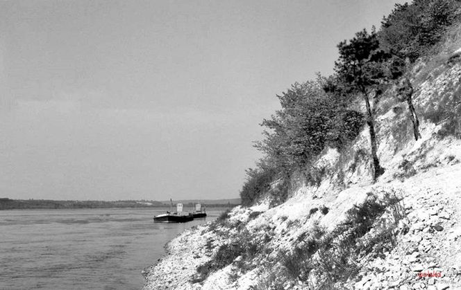 Tak wyglądał wypoczynek na Wisłą w Kazimierzu Dolnym prawie 100 lat temu