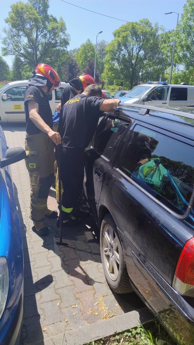Turyści zostawili psa w samochodzie