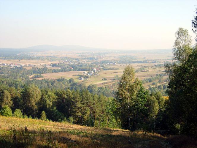 Dolina Wilkowska