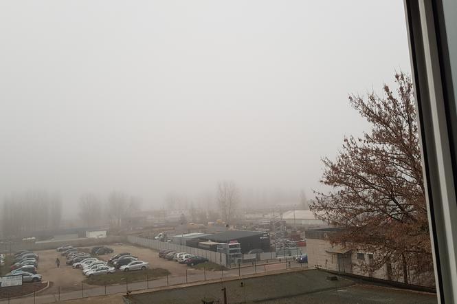 Mgła w Toruniu