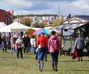 Piknik Wiejskiej Żywności, czyli radosne biesiadowanie w Fordonie [ZDJĘCIA] 