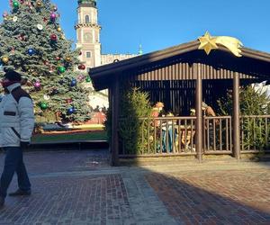 Szopki Bożonarodzeniowe - Stare Miasto Zamość