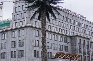 Zaczął się remont warszawskiej palmy. Atrakcja turystyczna została otoczona ogrodzeniem