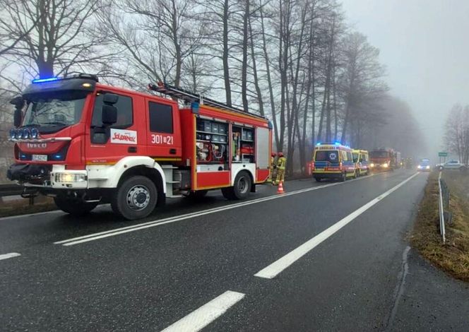 Wypadek śmiertelny w Grodźcu na DK 46