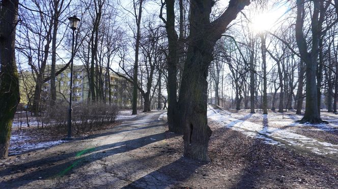 Zakaz wstępu do jednego z najstarszych parków w Lublinie. Teren został ogrodzony