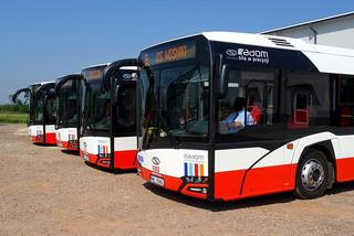 Na wakacje zmieni się rozklad jazdy autobusów miejskich