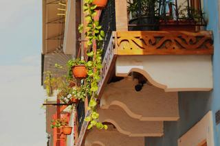 Trudno wyobrazić sobie lato bez balkonów tętniących zielenią 