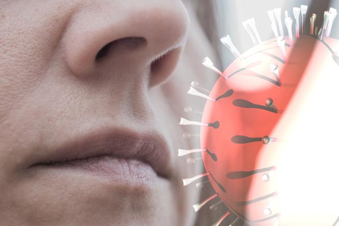 Koronawirus wykorzystuje komórki w nosie, by wywołać infekcje. Nowe badania 