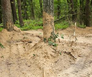 Masowe groby z prochami ofiar KL Soldau. Przerażające odkrycie w lesie białuckim! [ZDJĘCIA]