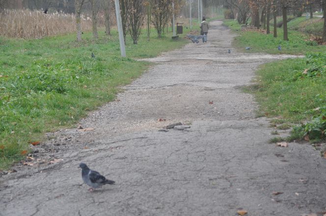 Dolina Silnicy i Zalew Kielecki jesienią