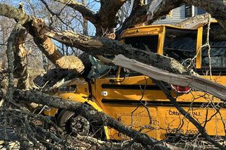 Drzewo runęło na szkolny autobus w New Jersey