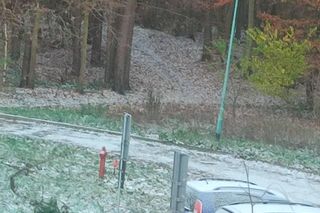 Pierwszy śnieg w tym roku. Pomorze pokryte białym puchem