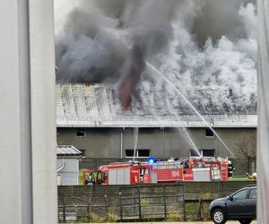 Pożar hali w Sadowie