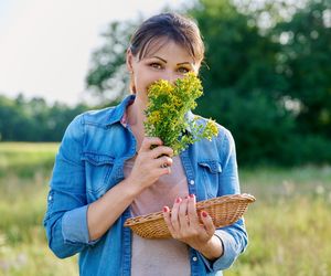 Zbierz na łące i zaparz herbatę. Ta popularna roślina świetnie działa na niestrawność
