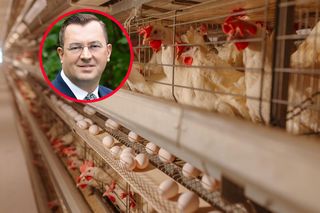 Polski drób wraca do Chin. Umowa otwiera rynek wart miliony