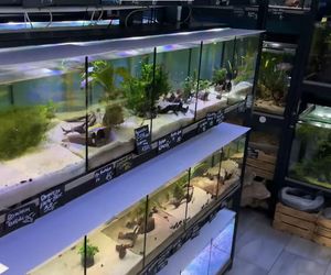 Rozmawiamy z Tomaszem Wiśniewskim, założycielem Aqua Dreams Bydgoszcz