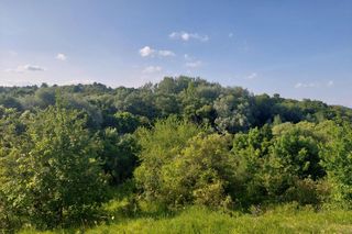 W tym domu mieszkał Jeremi Przybora. Wtedy był tu folwark jego ojca, Wielki Miedzyń, dziś to bydgoski Fordon