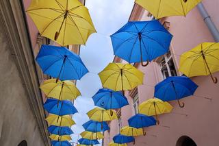 Na Tarnów wylał się hejt z powodu... parasolek. Internautom nie spodobały się kolory