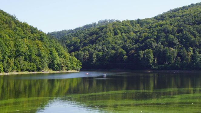To najpiękniejsze jezioro na Dolnym Śląsku. Otoczone jest wzgórzami i lasami