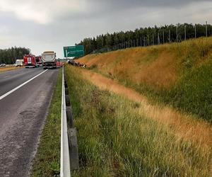 Dwóch mężczyzn nie żyje, kilku zostało rannych! Potworny wypadek busa na S7. Auto zostało zmasakrowane