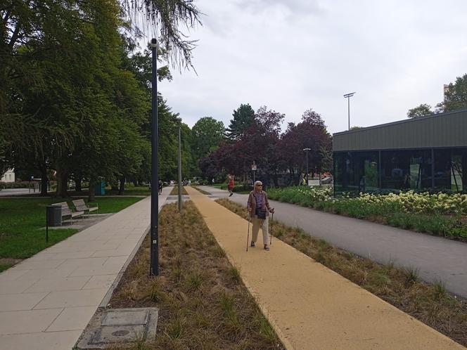 Park centralny w Gdyni. Atrakcje dla dzieci i dorosłych