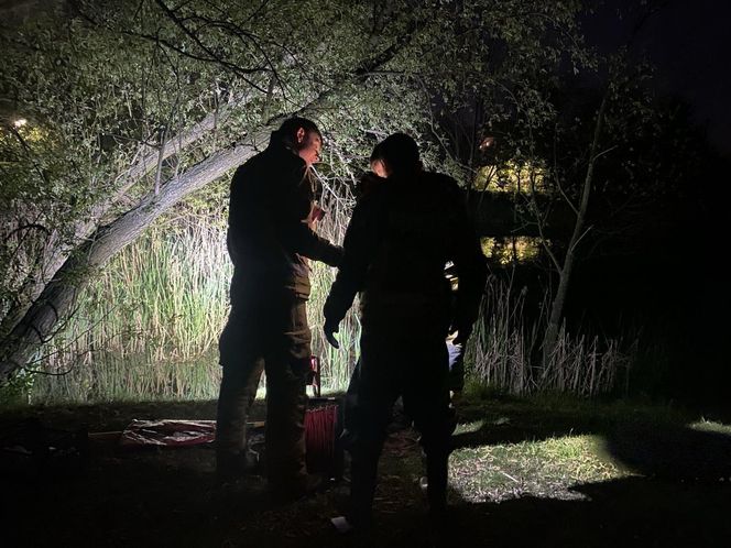 Dramatyczna walka o życie łabędzia. Czekał na pomoc kilka godzin.  "To standardowa procedura"