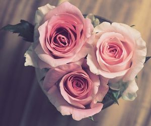 Dzień Teściowej 2025. Wyjątkowe życzenia i śmieszne wierszyki dla teściowej [5.03.2025]