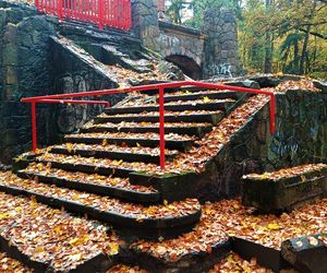 Porządkowanie terenu wokół wieży Quistorpa