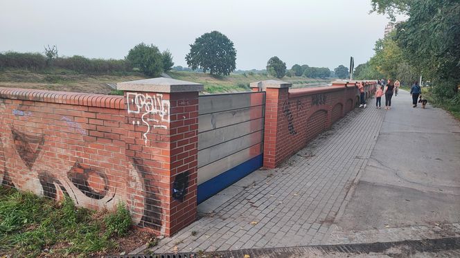 Mieszkańcy Wrocławia z zaniepokojeniem obserwują rzekę Odrę przepływającą pomiędzy osiedlami Kleczków i Różanka