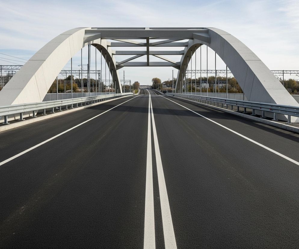 Na pierwszym planie widoczny jest czarny asfalt drogi z białymi pasami ruchu, biegnącymi równolegle w stronę horyzontu. Po bokach drogi znajdują się metalowe barierki ochronne, a za nimi po obu stronach wznosi się szeroki, łukowy most o jasnoszarej konstrukcji betonowej, podtrzymywany przez pionowe stalowe liny. W tle, za mostem, widoczne są tory kolejowe z siecią trakcyjną i słupami, otoczone drzewami o zielono-brązowych liściach, a także nieliczne budynki i zachmurzone, jasne niebo.