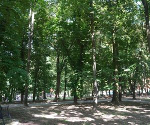 Park Miejski w Sandomierzu