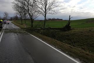 Wichura na Warmii i Mazurach. Silny wiatr łamał drzewa