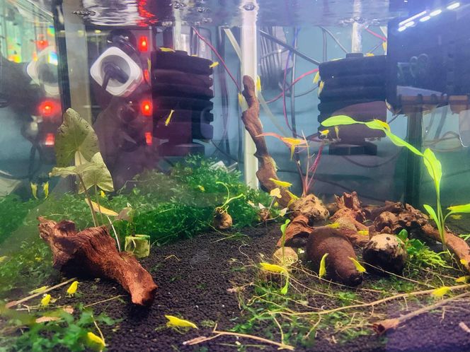 Rozmawiamy z Tomaszem Wiśniewskim, założycielem Aqua Dreams Bydgoszcz