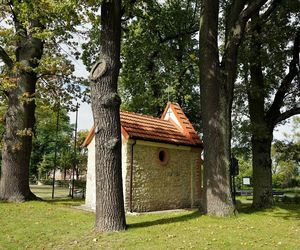 To małopolskie miasto zostało założone przez pielgrzyma. Leży nieopodal Krakowa