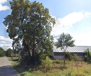 Woźnawieś na Podlasiu