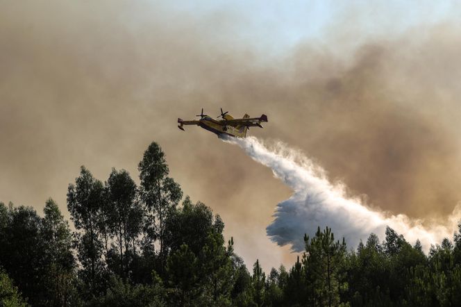 Groza w Portugalii! Tornado ognia i trąba z pyłów
