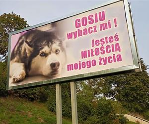 Nietypowe billboardy w Szczecinie