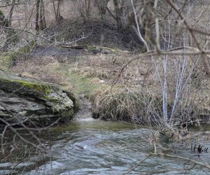 Spacer doliną Bystrzycy na lubelskim Wrotkowie