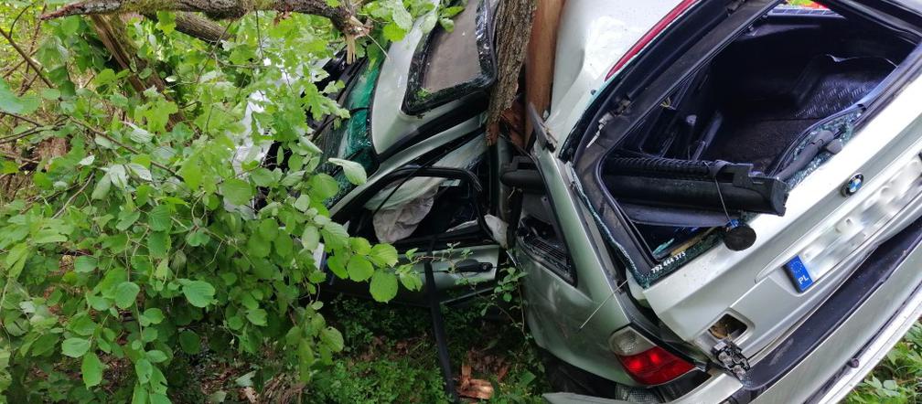 Samochód BMW owinął się wokół drzewa! [ZDJĘCIA]